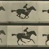 Free play online Run Muybridge, run! [EXTENDED] APK